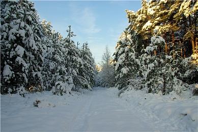 《电锯甜心RePOP》发售预告 Steam国区首发294元